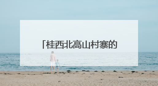 桂西北高山村寨的“云端”致富路
