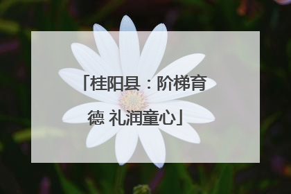 桂阳县：阶梯育德 礼润童心
