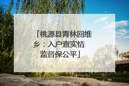 桃源县青林回维乡：入户查实情 监督保公平