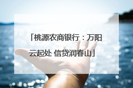 桃源农商银行：万阳云起处 信贷润春山