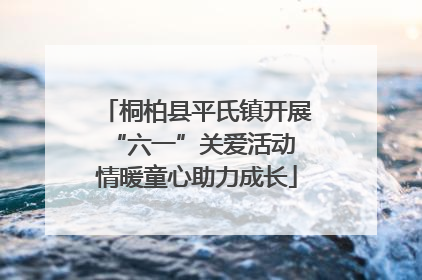 桐柏县平氏镇开展“六一”关爱活动 情暖童心助力成长