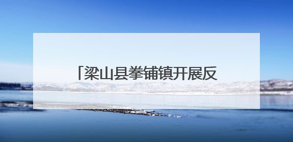梁山县拳铺镇开展反邪教宣传进商铺活动