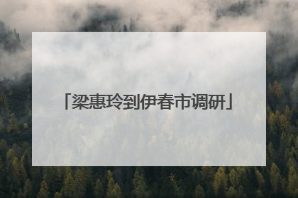 梁惠玲到伊春市调研