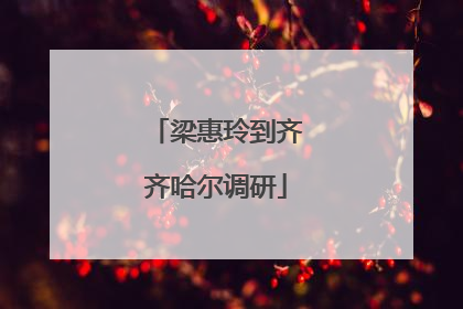 梁惠玲到齐齐哈尔调研
