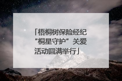 梧桐树保险经纪“桐星守护”关爱活动圆满举行