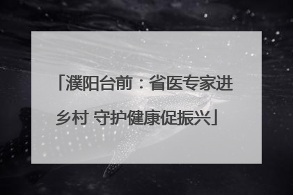 濮阳台前：省医专家进乡村 守护健康促振兴