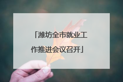 潍坊全市就业工作推进会议召开