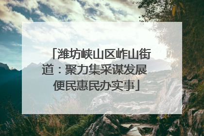 潍坊峡山区岞山街道：聚力集采谋发展 便民惠民办实事