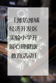 潍坊潍城经济开发区实验小学开展心理健康教育活动