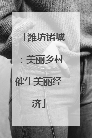 潍坊诸城：美丽乡村催生美丽经济