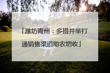 潍坊青州：多措并举打通销售渠道助农增收