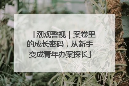 潮观警视｜案卷里的成长密码，从新手变成青年办案探长