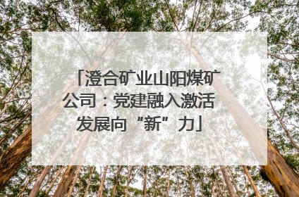 澄合矿业山阳煤矿公司：党建融入激活发展向“新”力