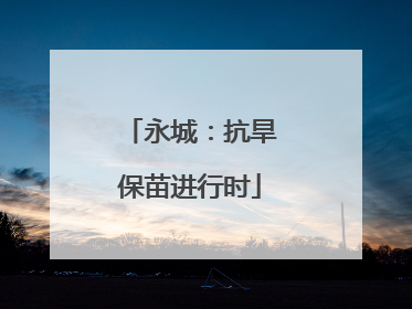 永城：抗旱保苗进行时