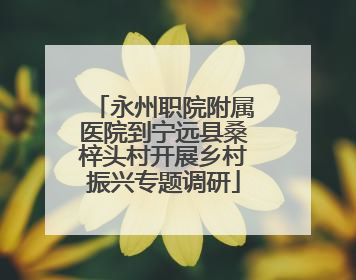 永州职院附属医院到宁远县桑梓头村开展乡村振兴专题调研