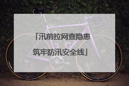 汛前拉网查隐患 筑牢防汛安全线