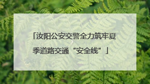 汝阳公安交警全力筑牢夏季道路交通“安全线”