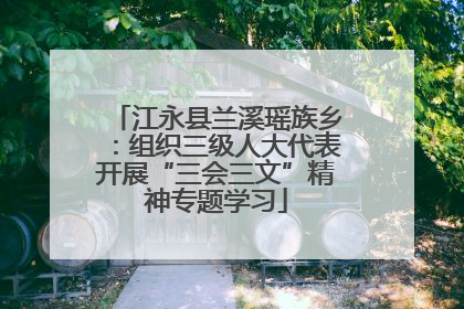 江永县兰溪瑶族乡：组织三级人大代表开展“三会三文”精神专题学习
