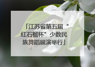 江苏省第五届“红石榴杯”少数民族舞蹈展演举行