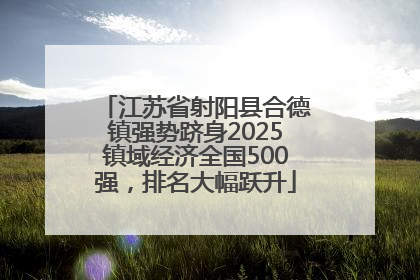 江苏省射阳县合德镇强势跻身2025镇域经济全国500强，排名大幅跃升