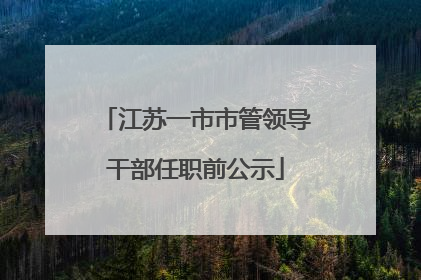 江苏一市市管领导干部任职前公示
