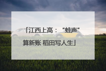 江西上高：“蛙声”算新账 稻田写人生