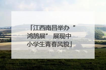 江西南昌举办“鸿鹄展” 展现中小学生青春风貌