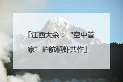 江西大余：“空中管家”护航稻虾共作