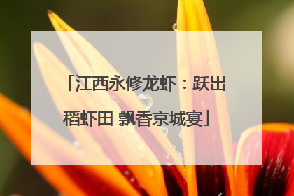 江西永修龙虾：跃出稻虾田 飘香京城宴