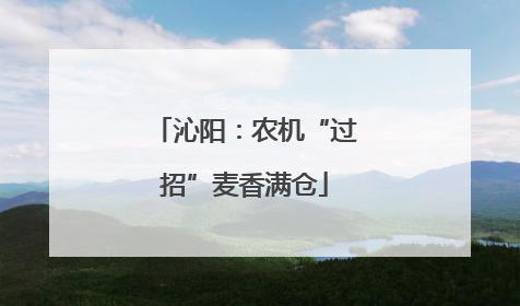 沁阳：农机“过招”麦香满仓