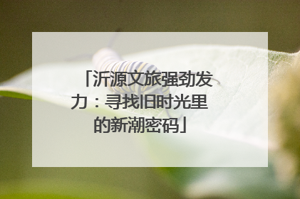 沂源文旅强劲发力：寻找旧时光里的新潮密码