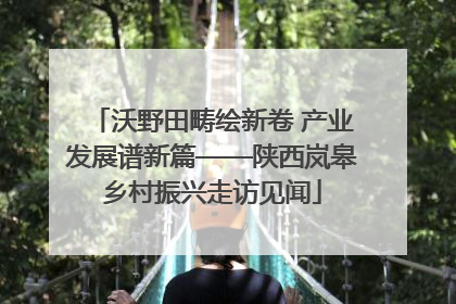 沃野田畴绘新卷 产业发展谱新篇——陕西岚皋乡村振兴走访见闻