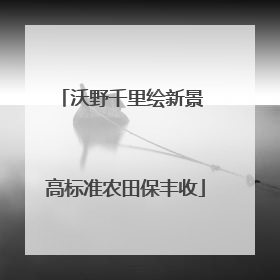 沃野千里绘新景 高标准农田保丰收