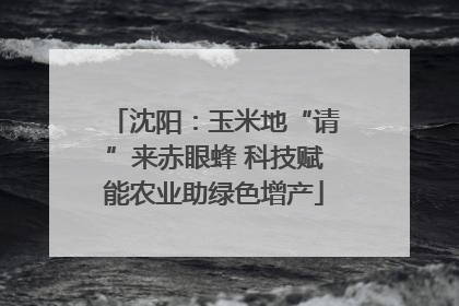 沈阳：玉米地“请”来赤眼蜂 科技赋能农业助绿色增产