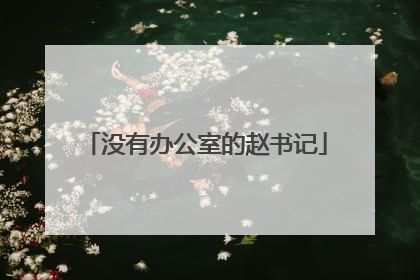 没有办公室的赵书记
