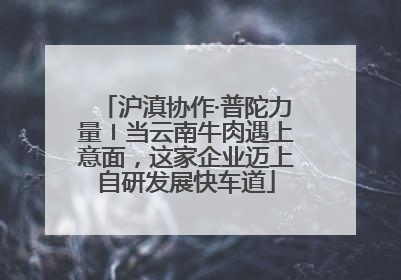 沪滇协作·普陀力量〡当云南牛肉遇上意面，这家企业迈上自研发展快车道