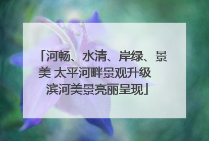 河畅、水清、岸绿、景美 太平河畔景观升级 滨河美景亮丽呈现