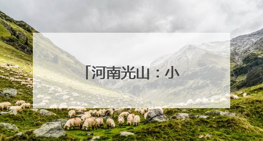 河南光山：小西瓜“撬动”特色农业发展路