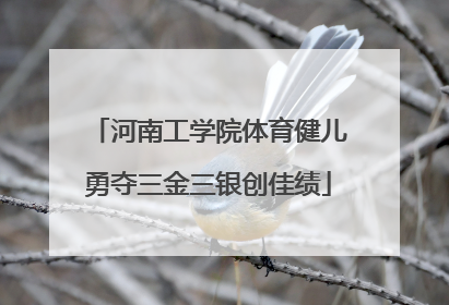 河南工学院体育健儿勇夺三金三银创佳绩
