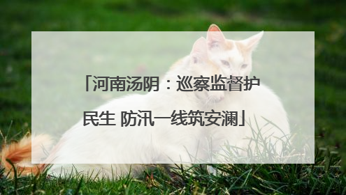 河南汤阴：巡察监督护民生 防汛一线筑安澜