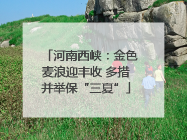 河南西峡：金色麦浪迎丰收 多措并举保“三夏”