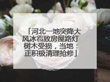 河北一地突降大风冰雹致房屋路灯树木受损，当地：正积极清理抢修