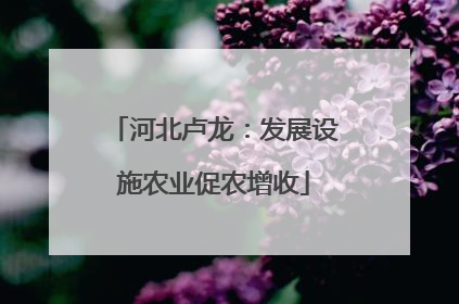 河北卢龙：发展设施农业促农增收