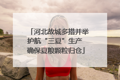 河北故城多措并举护航“三夏”生产 确保夏粮颗粒归仓