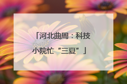 河北曲周：科技小院忙“三夏”