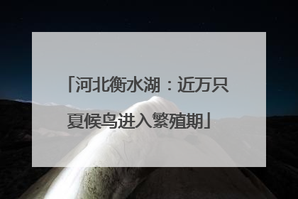 河北衡水湖：近万只夏候鸟进入繁殖期