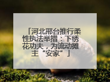 河北邢台推行柔性执法举措：下绣花功夫，为流动摊主“安家”