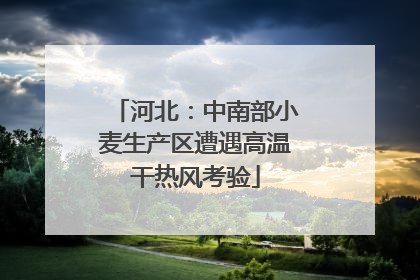 河北：中南部小麦生产区遭遇高温干热风考验