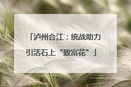 泸州合江：统战助力引活石上“致富花”