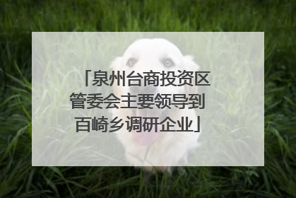 泉州台商投资区管委会主要领导到百崎乡调研企业